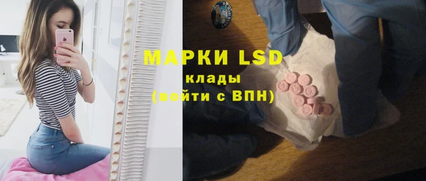 ECSTASY Алзамай