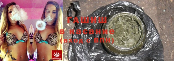 ECSTASY Алзамай