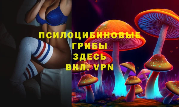 ECSTASY Алзамай