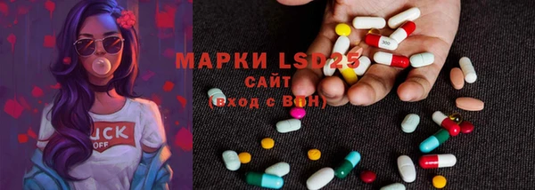ECSTASY Алзамай
