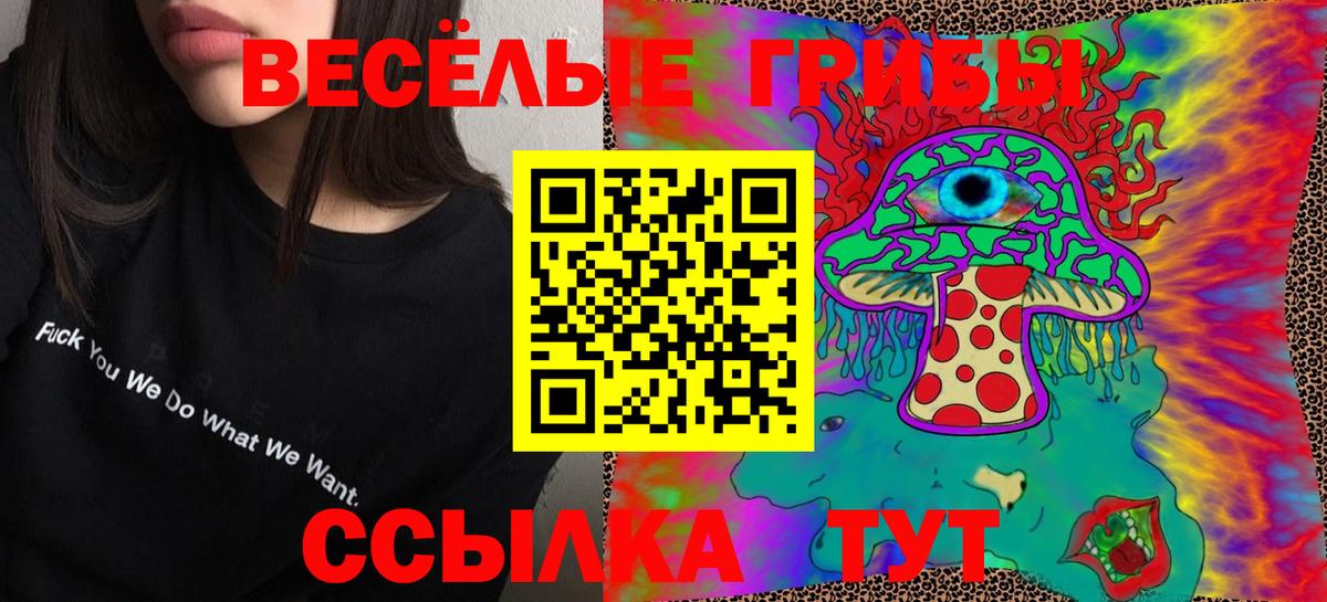 Саров  Псилоцибиновые грибы MAGIC MUSHROOMS  Вход с VPN 