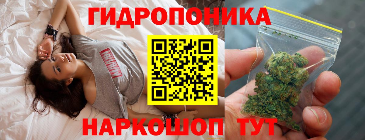 МАРИХУАНА OG Kush  Марихуана гибрид  Саров  МАРИХУАНА SATIVA & INDICA  Вход с VPN 